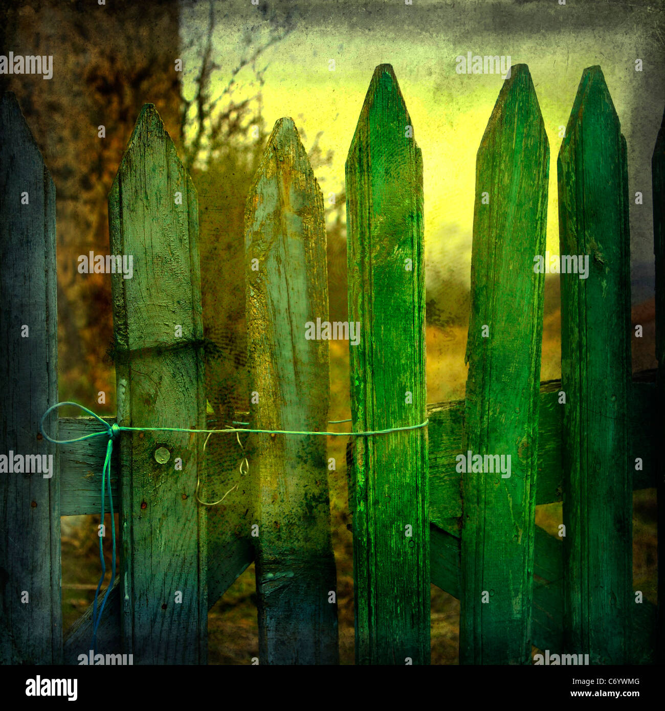 Recinzione in legno verde anfratto con fascino rustico adagiata su un paesaggio di cielo ammoso Foto Stock