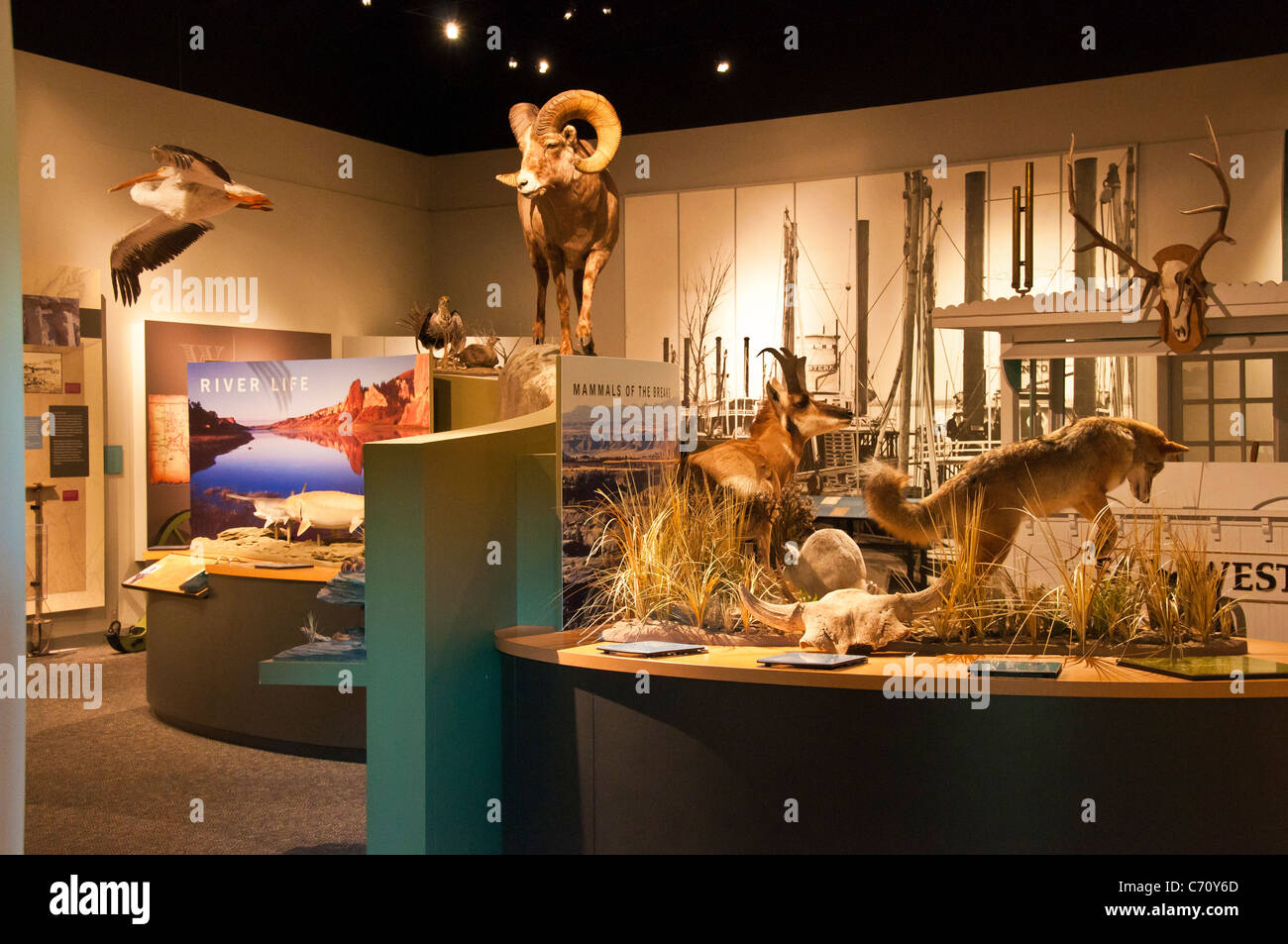 Presenta nella parte superiore del Missouri Breaks Monumento Nazionale Interpretive Center, Fort Benton, Montana. Foto Stock