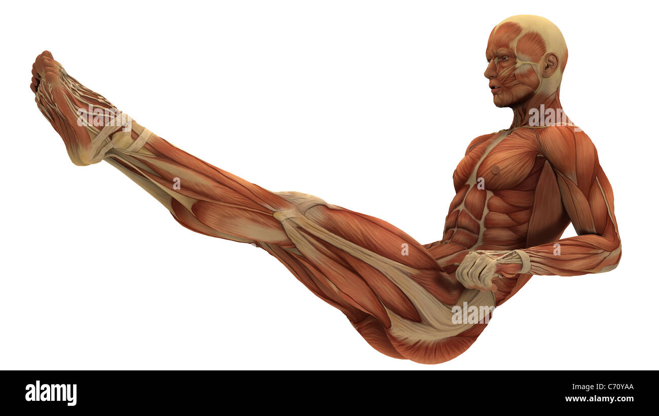 Un maschio umano figura withe tessuto muscolare esposti in vari yoga ed esercizio fisico pone. Foto Stock