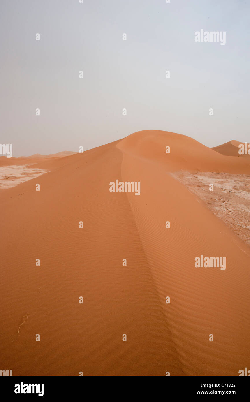 Le dune di sabbia del deserto del Sahara, Erg Chigaga, sud del Marocco. Foto Stock