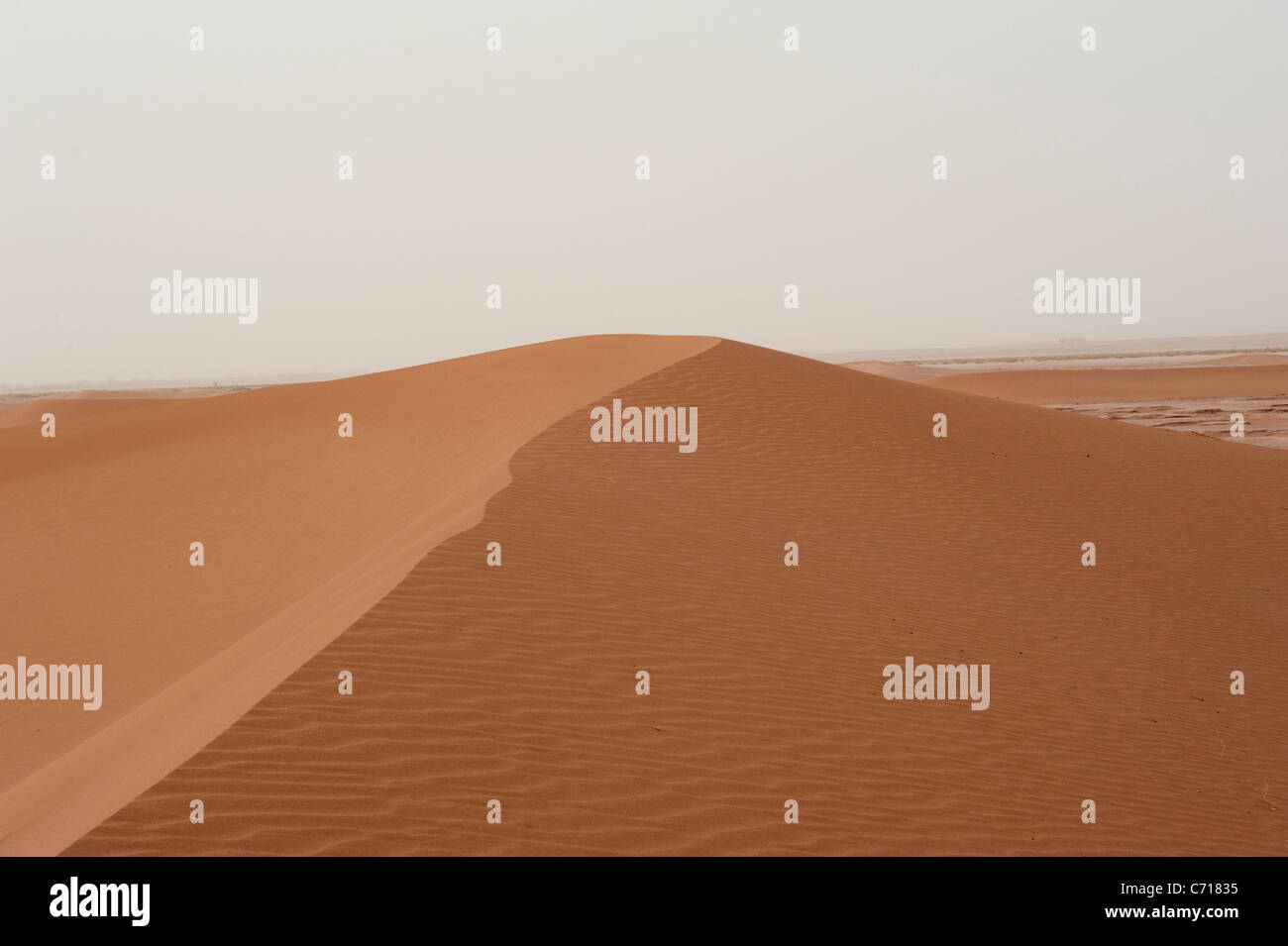 Le dune di sabbia del deserto del Sahara, Erg Chigaga, sud del Marocco. Foto Stock