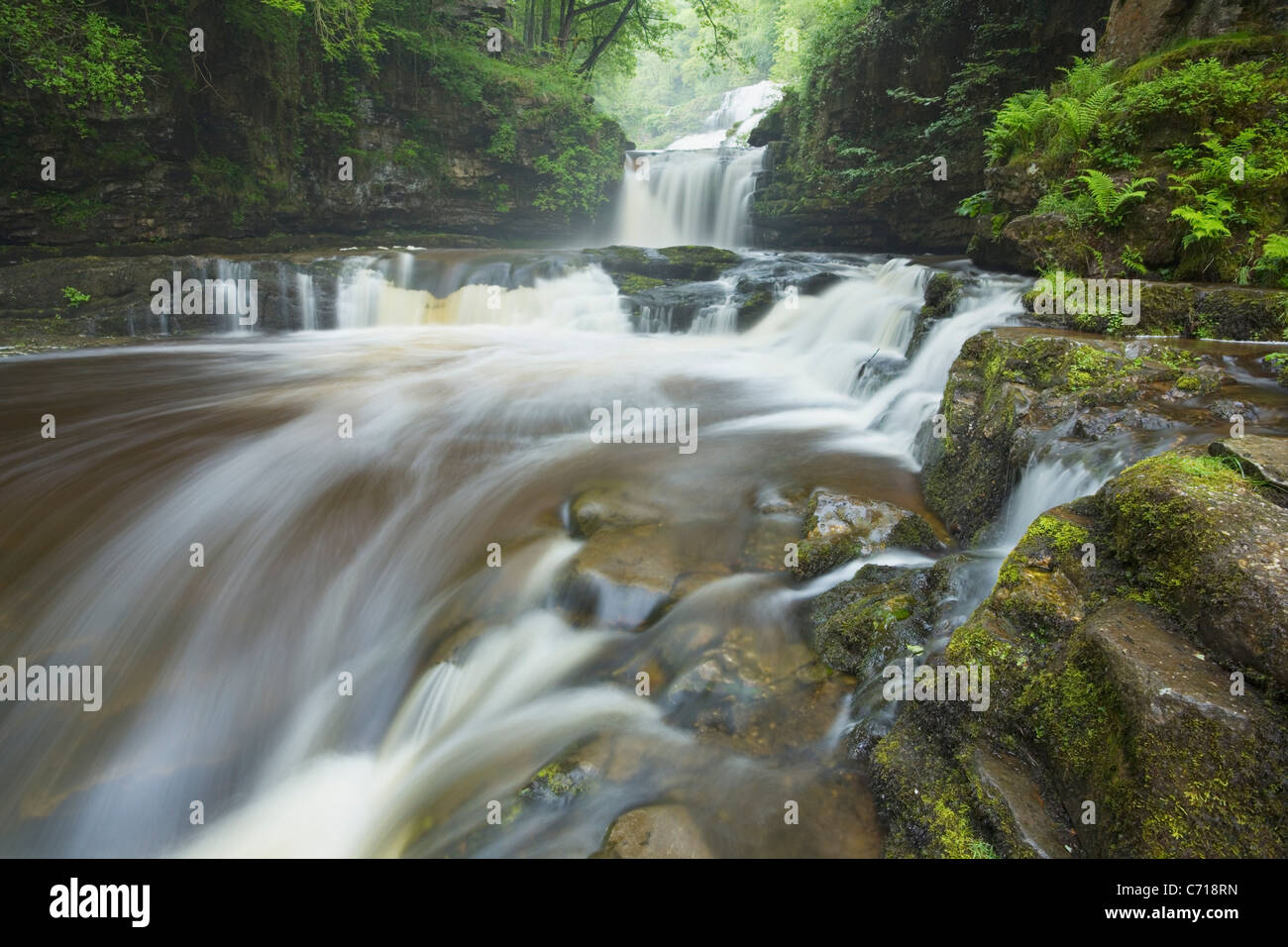 Sgwd Isaf Clun-gwyn cascata. Vicino Ystradfellte. Parco Nazionale di Brecon Beacons. La contea di Powys. Il Galles. Regno Unito. Foto Stock