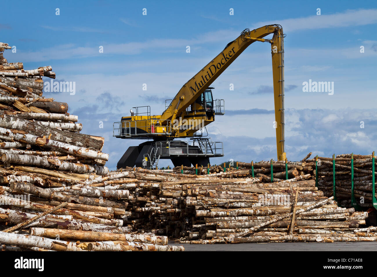 Il sollevamento con gru logs Foto Stock