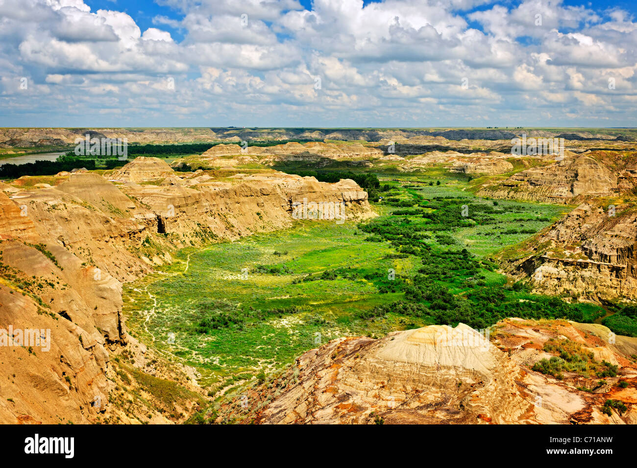 Vista di Red Deer River Valley in Badlands nel parco provinciale dei dinosauri, Alberta, Canada Foto Stock