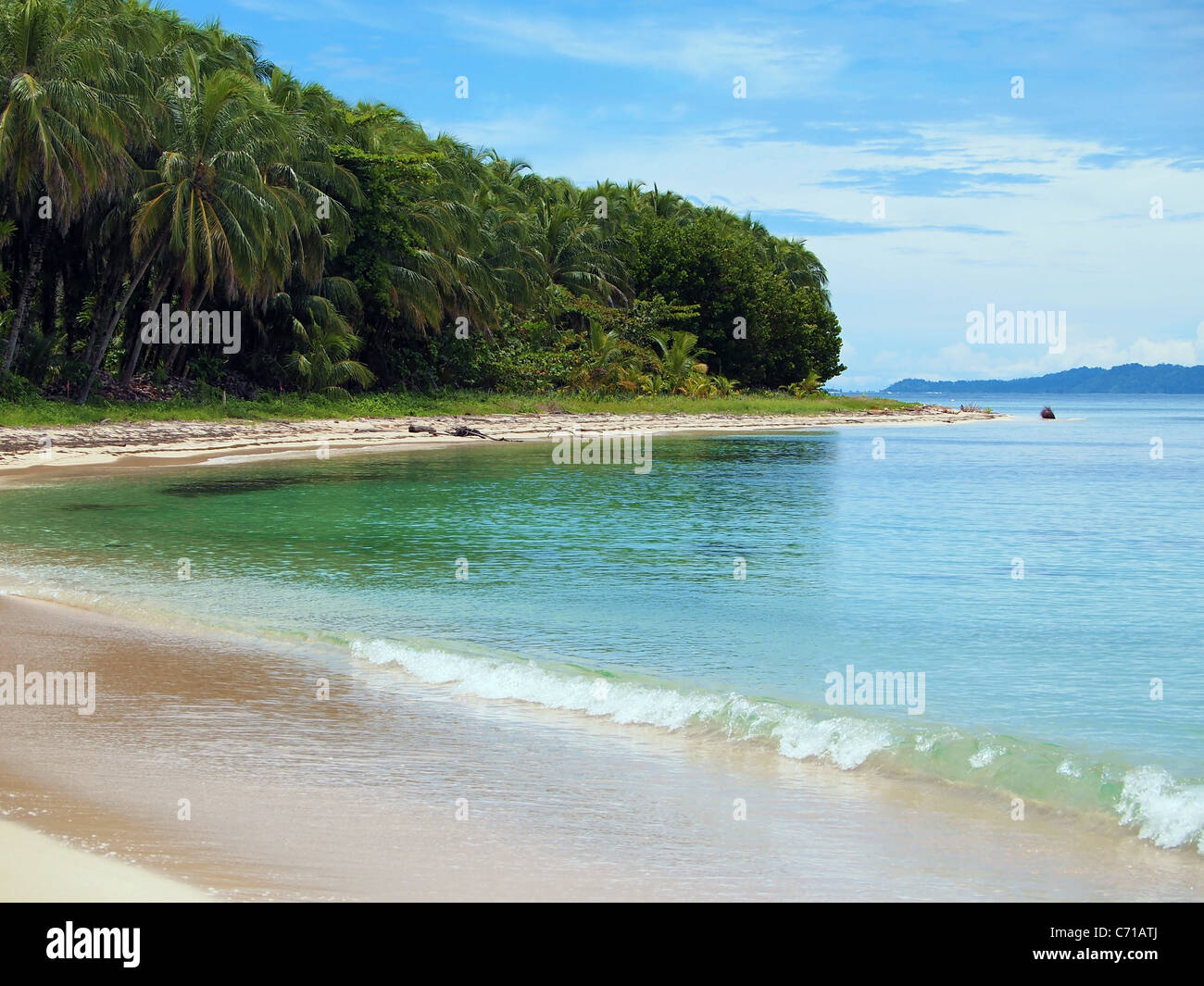 Spiaggia tropicale con alberi di noci di cocco in Bocas del Toro, mar dei Caraibi, Panama Foto Stock