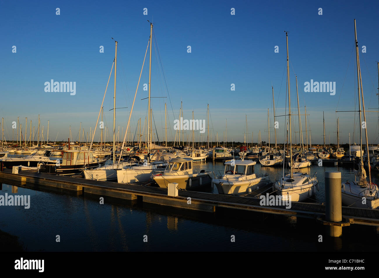 Barche a vela ormeggiata in Ars en Ré porto di sunrise, Charente Maritime reparto, a ovest della Francia Foto Stock