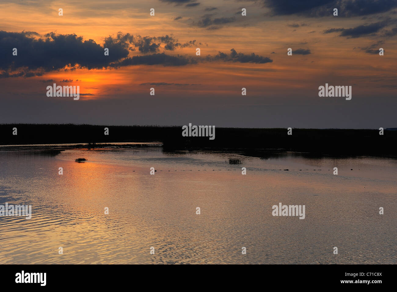 Tramonto su paludi in mortagne (sur Gironde, estuario Gironde, sud della Charente Maritime reparto, a ovest della Francia Foto Stock