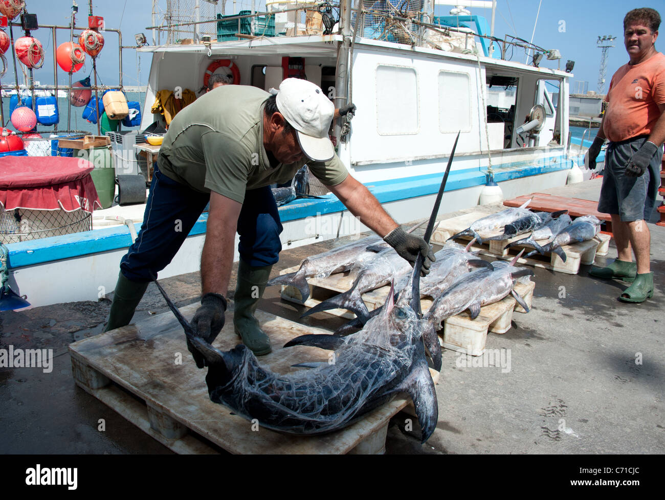 I pescatori di pesce spada di scarico dalla barca, Garrucha, Spagna Foto Stock