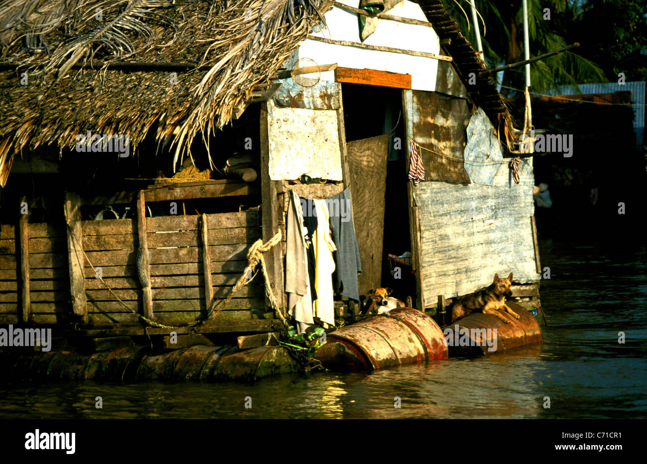 Il cane si siede sul tuccurbox... un vietnamita eco del folk australiano storia, visto in una casa galleggiante nel Delta del Mekong, vicino a Can Tho Foto Stock