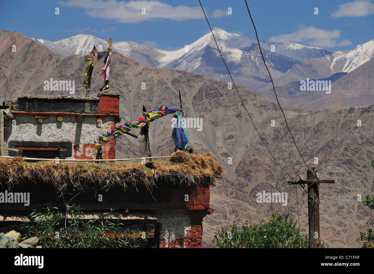 Villaggio di Hemis dove Buddista Tibetana alta landers live. Anche la festa di mezza estate è freddo e aria è sottile. Foto Stock