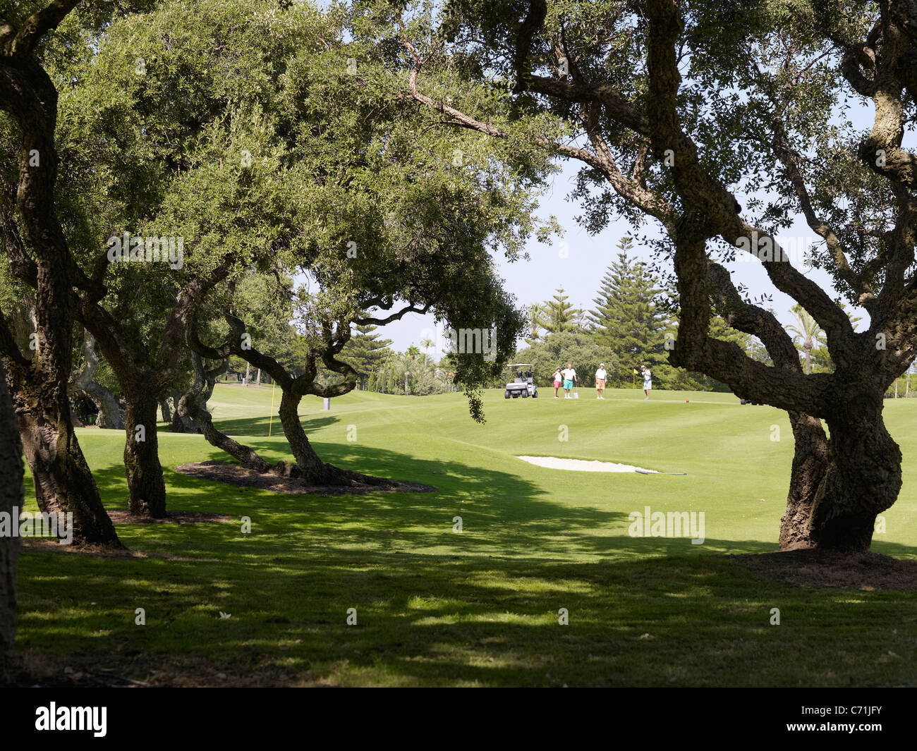 Le querce da sughero sul Royal Golf Club ,Valderrama,Andalusia,Spagna Foto  stock - Alamy