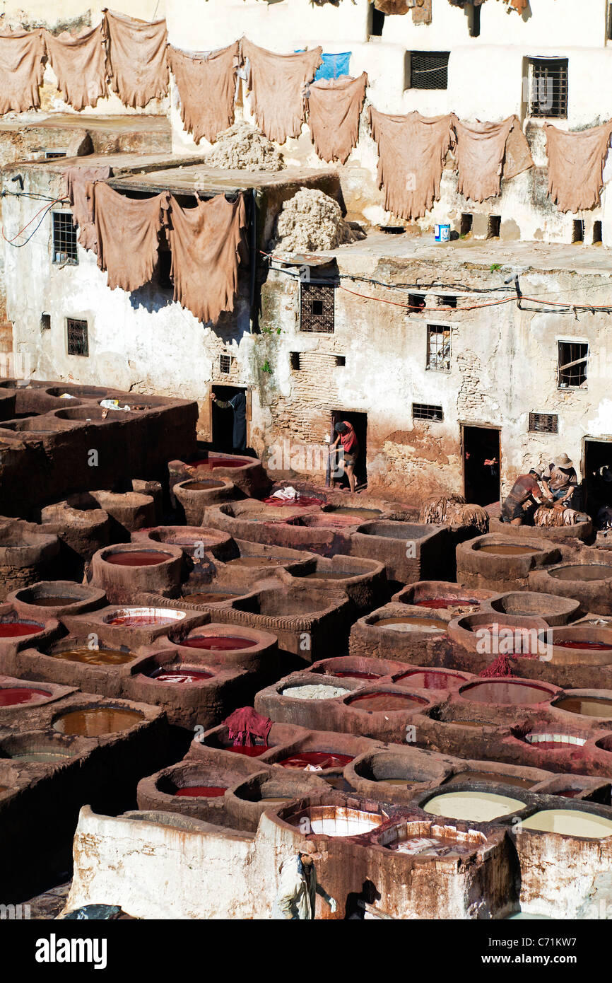 Chouwara tradizionale in pelle di conceria vecchio Fez, tini per la concia e tintura di cuoio Cuoi e pelli, Fez, in Marocco, Africa del Nord Foto Stock