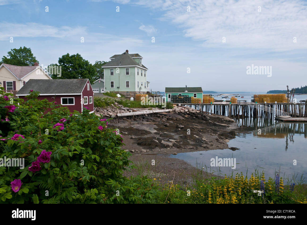 Città di pescatori di Stonington Maine USA Foto Stock