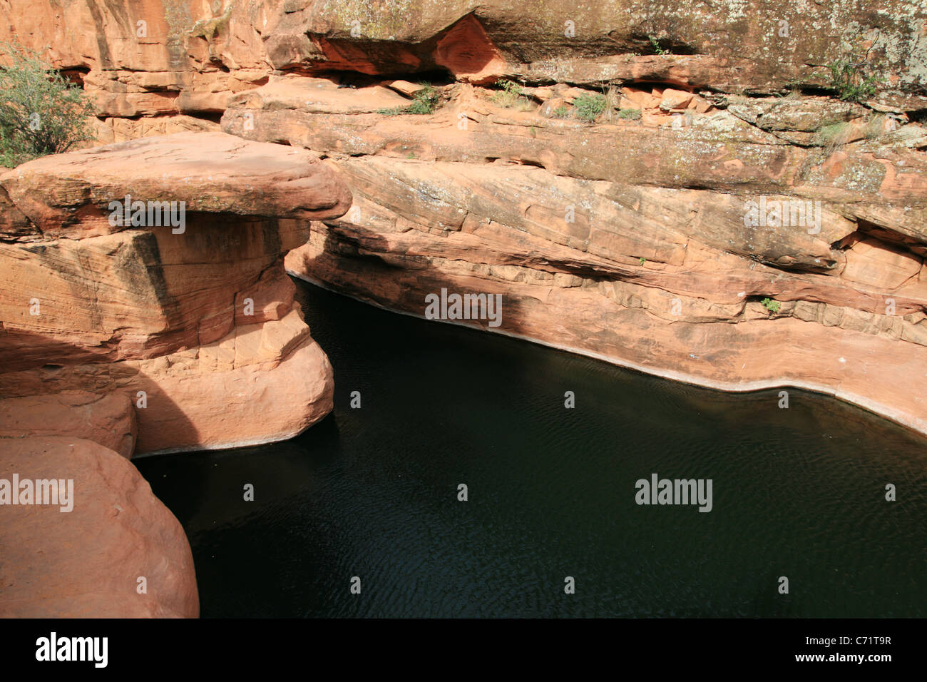 Deserto foro di nuoto in Arizona con jumping rock Foto Stock