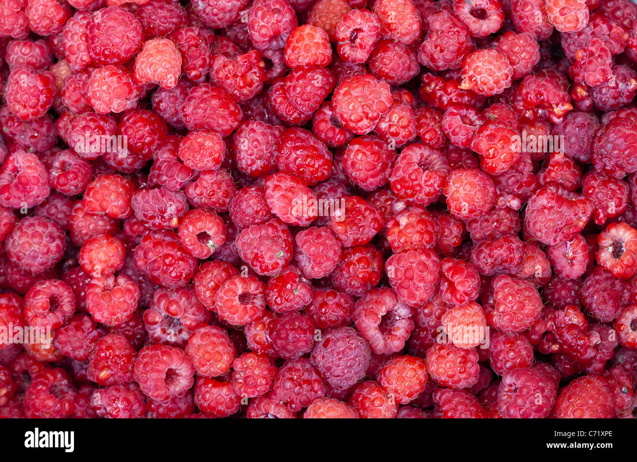 Dolce lamponi freschi closeup Foto Stock