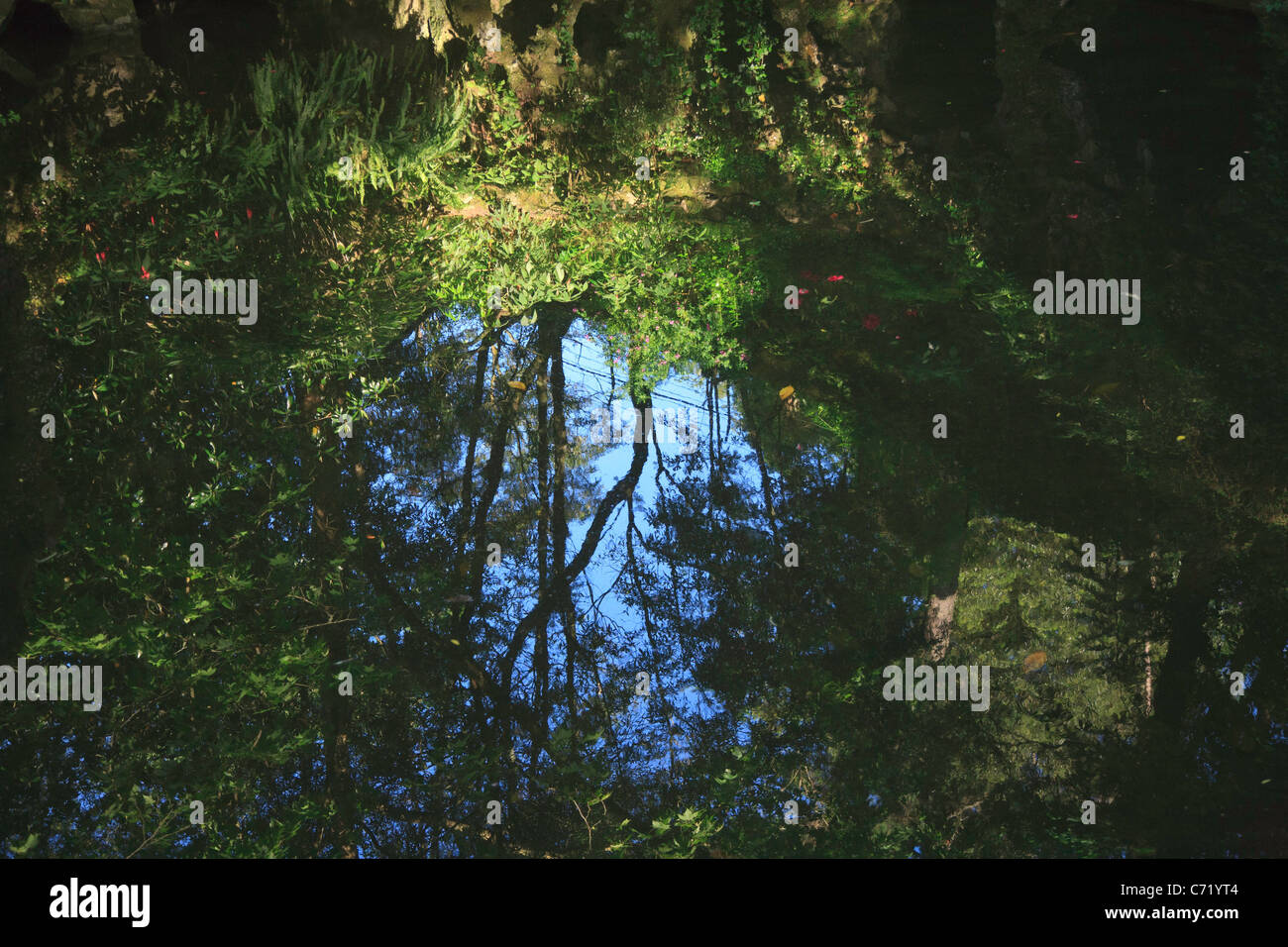 Giardini, Quinta da Regaleira, Sintra moody e magici riflessi in un lago Foto Stock