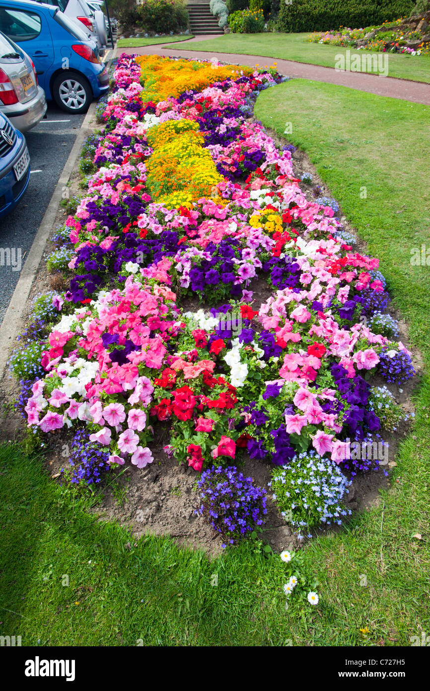 Un letto di fiori in un parco a Sheringham, Norfolk, Regno Unito. Foto Stock