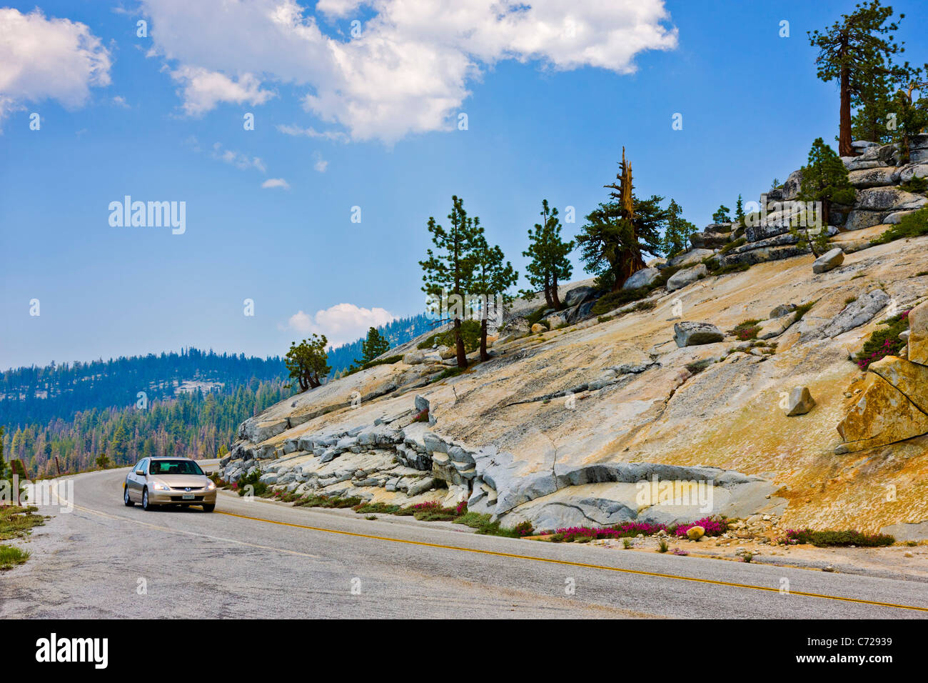Ghiacciate a fianco di montagna Tioga Road, Yosemite National Park, Stati Uniti d'America. JMH5272 Foto Stock