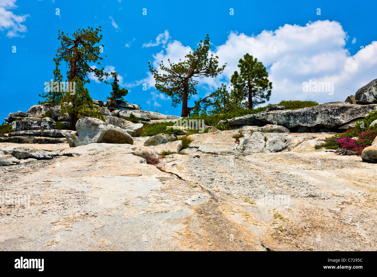 Ghiacciate a fianco di montagna Tioga Road, Yosemite National Park, Stati Uniti d'America. JMH5275 Foto Stock