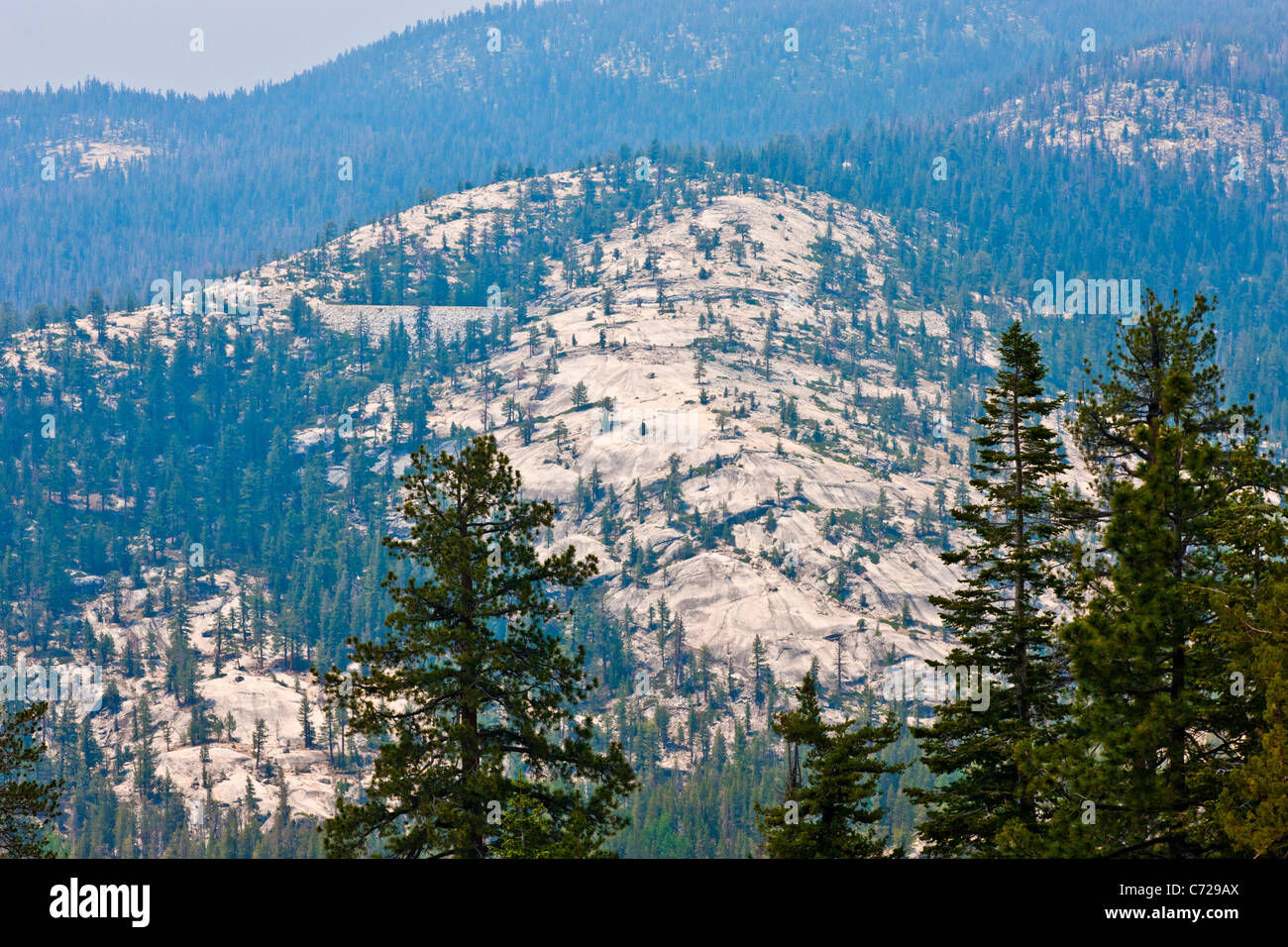 Vista su tutta la valle di Yosemite da Tioga Road, Yosemite National Park, Stati Uniti d'America. JMH5281 Foto Stock
