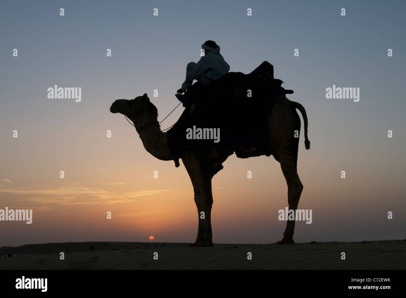 Sillhouette uomo sul cammello dune del SAM Desert National Park Western Rajasthan in India Foto Stock