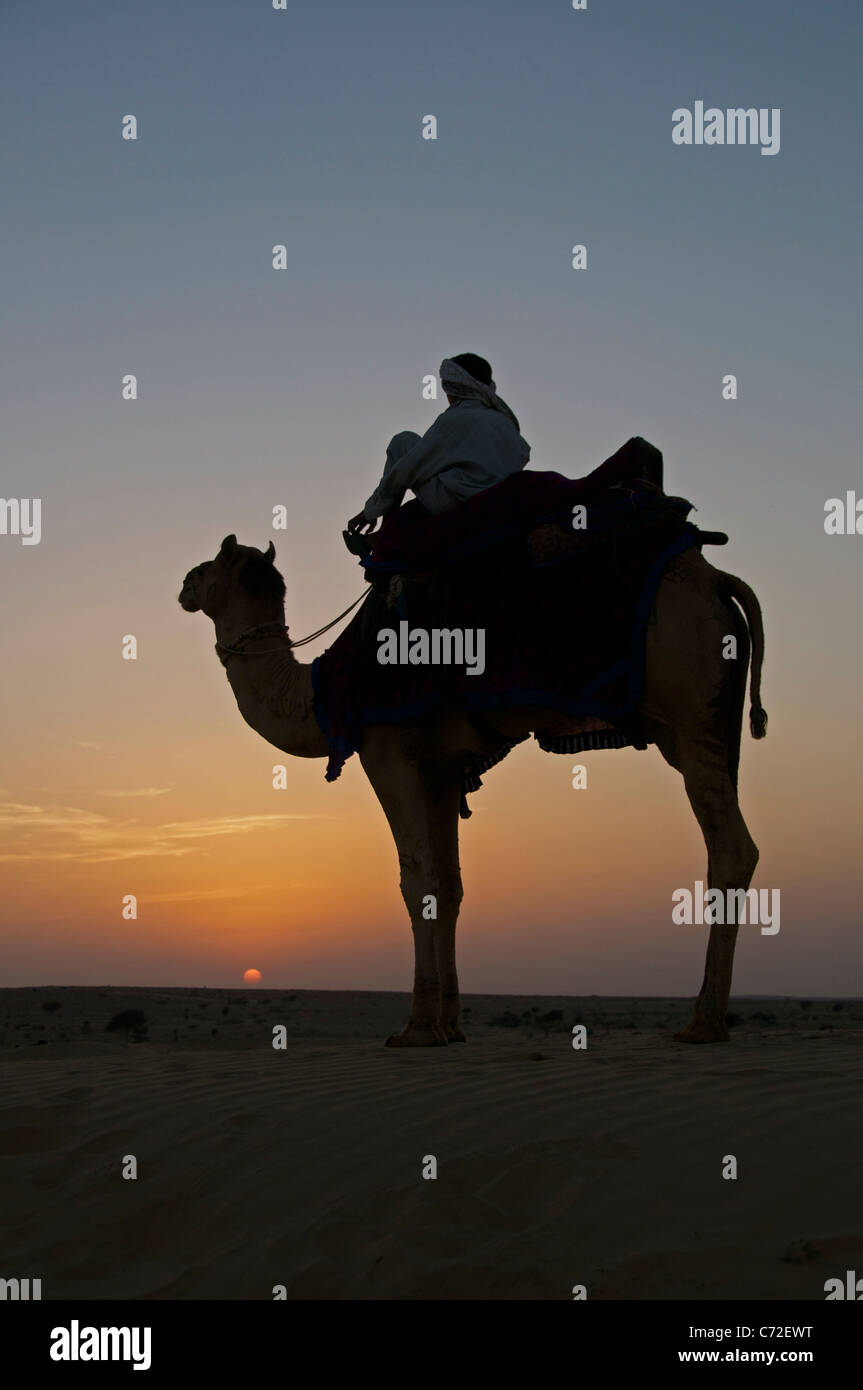 Silhouette uomo sul cammello dune del SAM Desert National Park Western Rajasthan in India Foto Stock