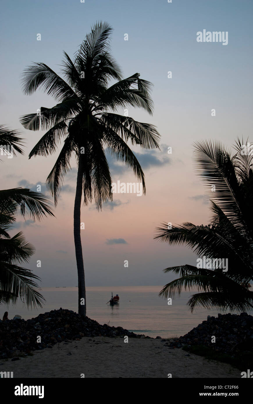 Palm Tree e barche al tramonto sull isola tropicale ko tao thailandia Foto Stock