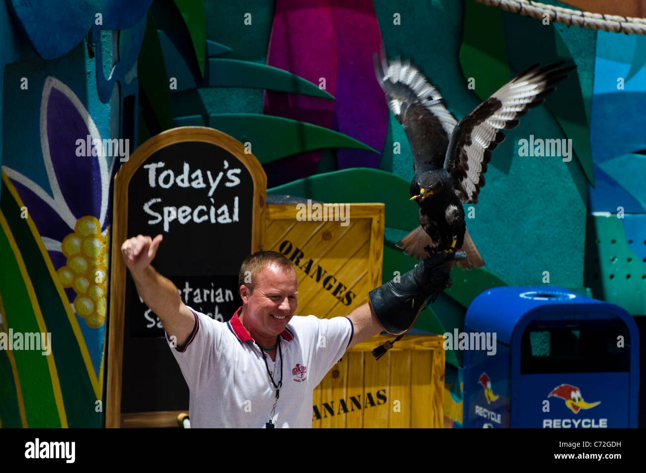 Mostra degli animali presso gli Universal Studios di Los Angeles, California, Stati Uniti d'America Foto Stock