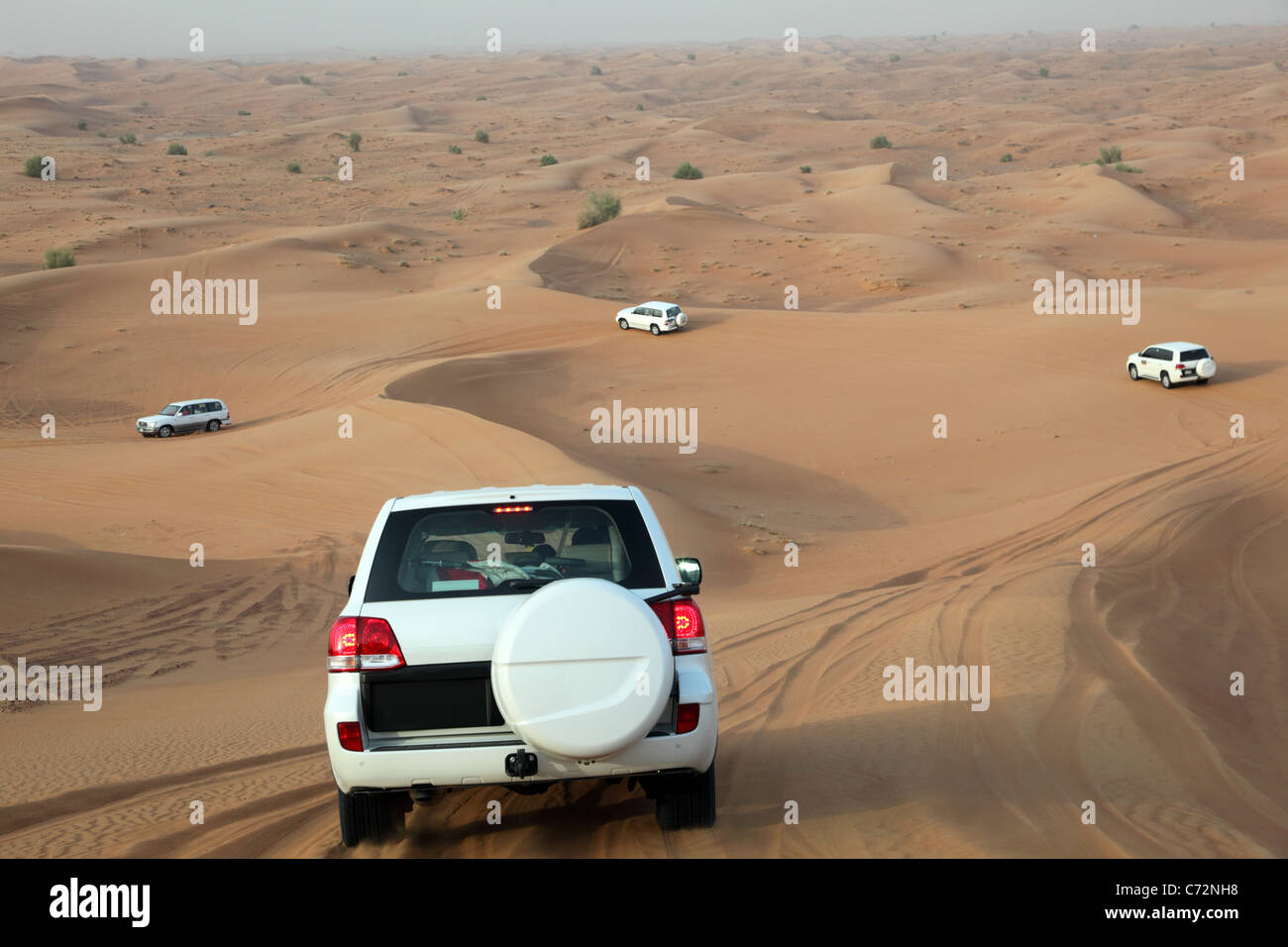 Traversata delle Dune in Dubai Emirati Arabi Uniti Foto Stock