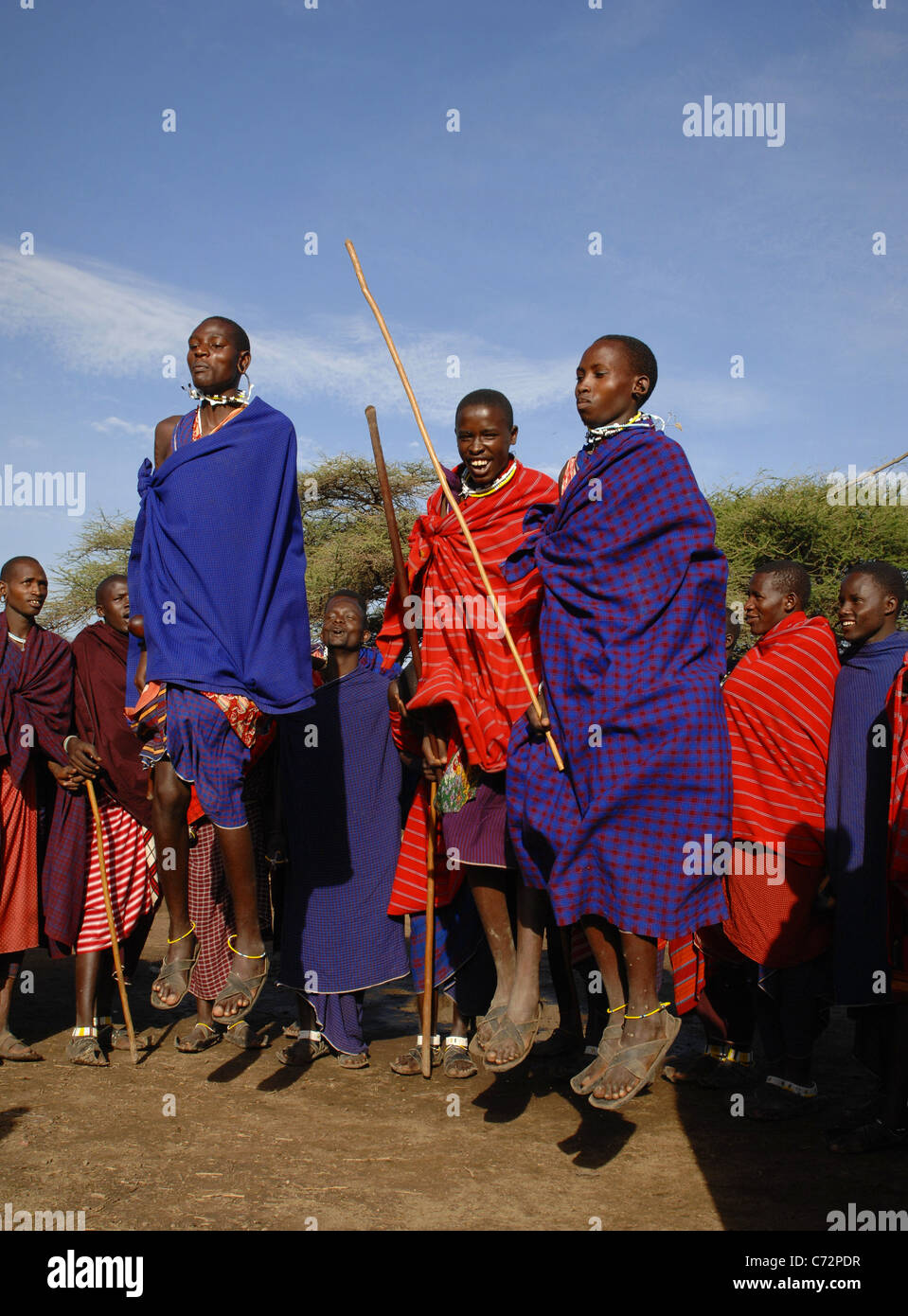 Villaggio masai. Masai di eseguire la danza del guerriero,Tanzania Africa Orientale. Foto Stock