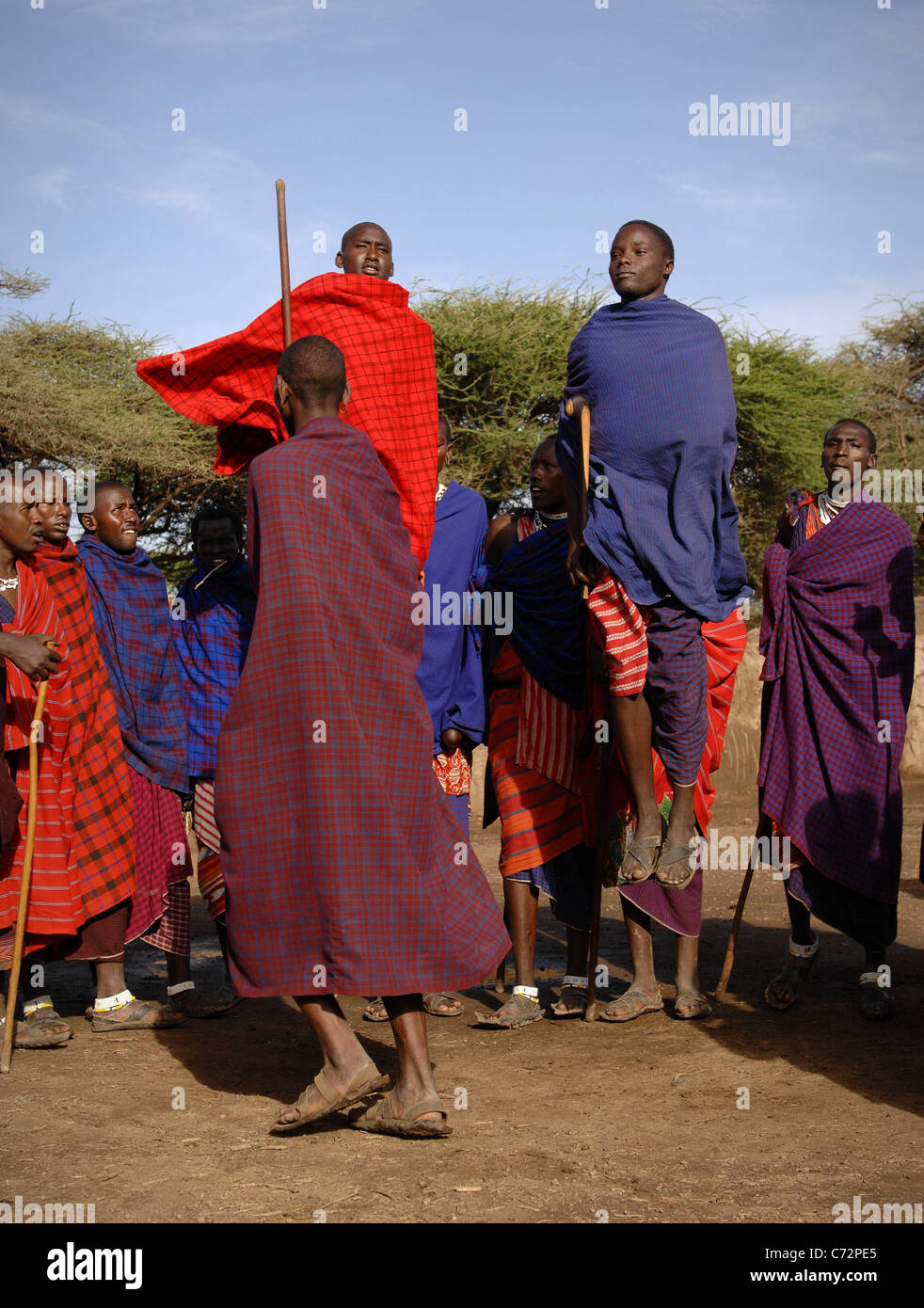 Africa.Tanzania. Il 5 marzo 2009. Villaggio masai. Masai di eseguire la danza del guerriero,Tanzania Africa Orientale. Foto Stock