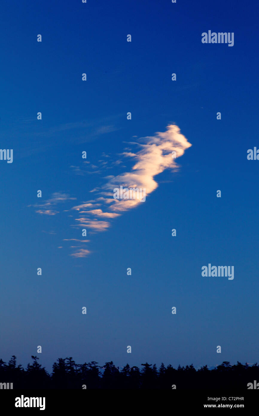 Wispy cloud in navy blue sky stagliano sopra gli alberi Foto Stock
