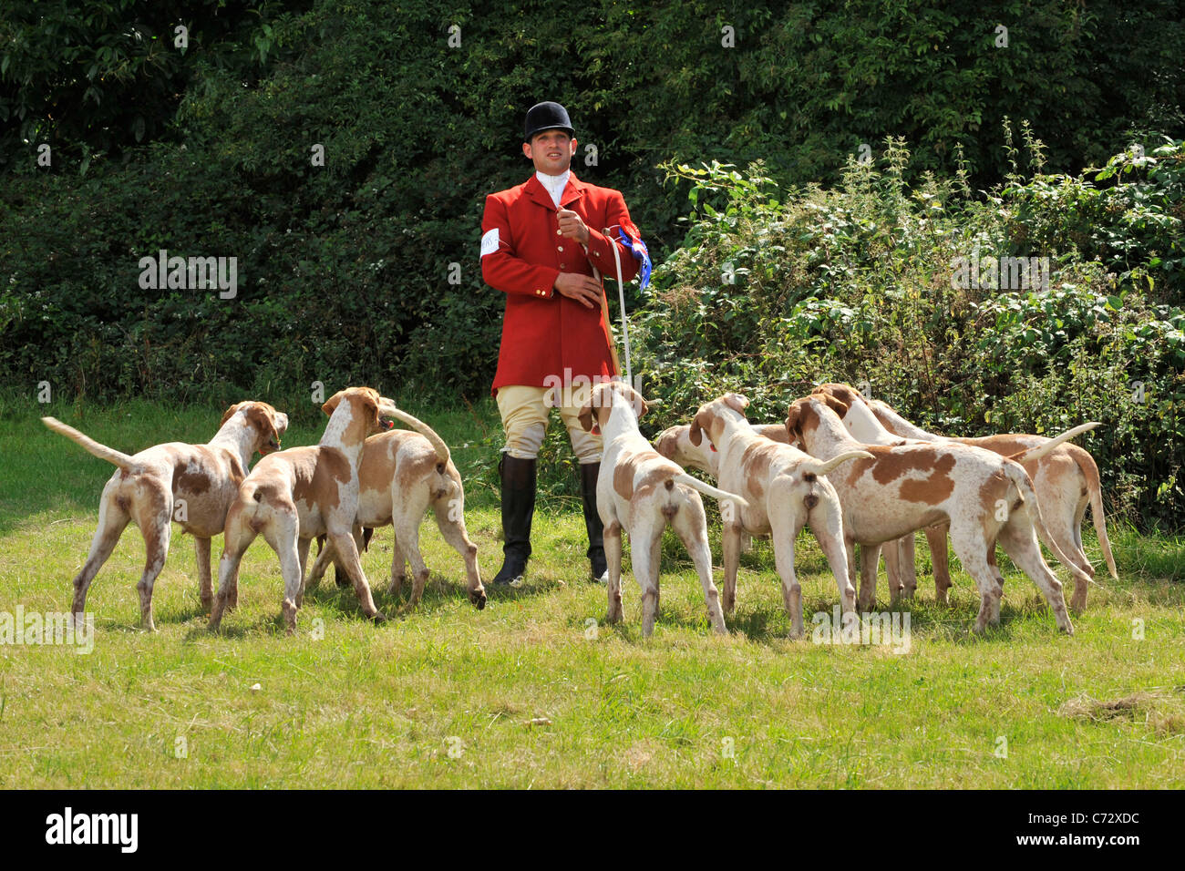 Huntsman con hounds Foto Stock