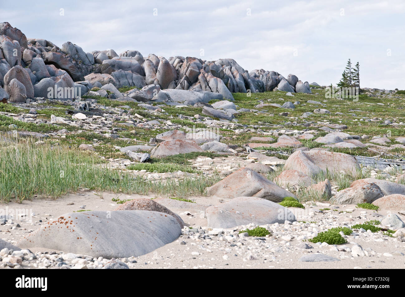 Tundra rocciosa terreno lungo la costa occidentale della Baia di Hudson, in corrispondenza del bordo della protezione canadese, vicino alla città di Churchill, Manitoba, Canada. Foto Stock
