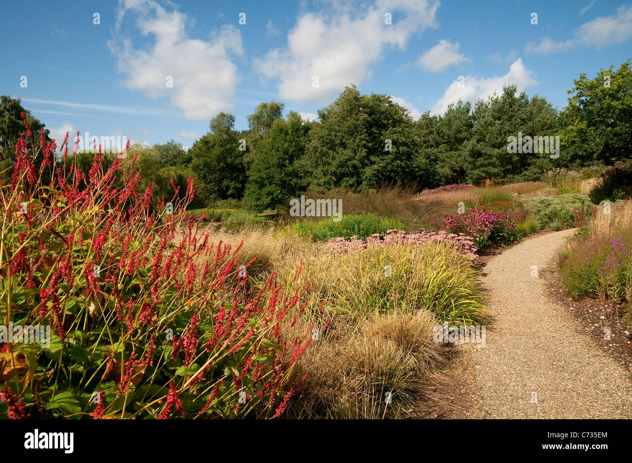 Il millennium giardino, pensthorpe, Norfolk, Inghilterra Foto Stock