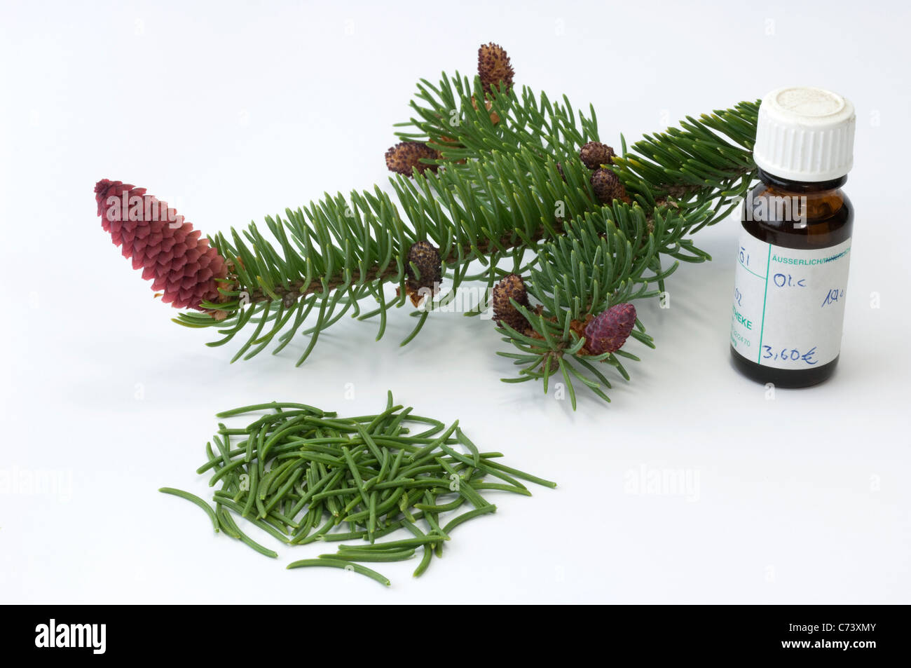 Comune di abete rosso, Abete rosso (Picea abies). Rametto con fiori, il cono e la piccola bottiglia di olio essenziale Foto Stock