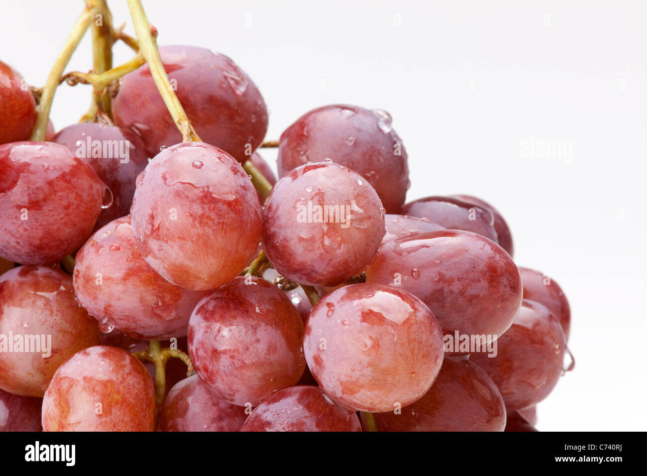 Cluster di Vite rossa, isolato su bianco Foto Stock