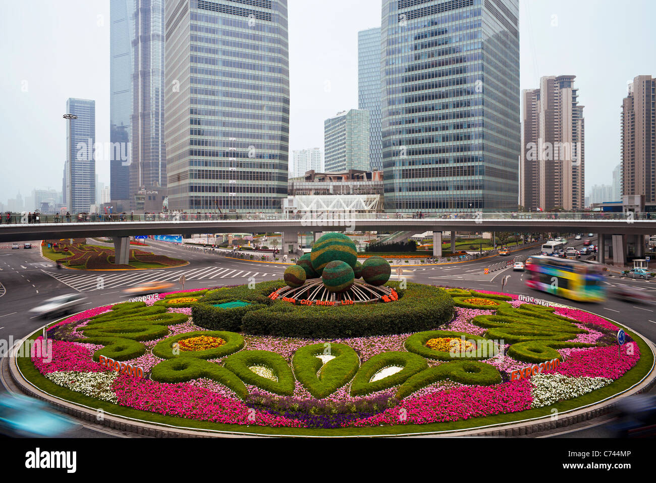 Siepi sferica in isola centrale della rotonda, Century Avenue, Pudong, Shanghai, Cina Foto Stock