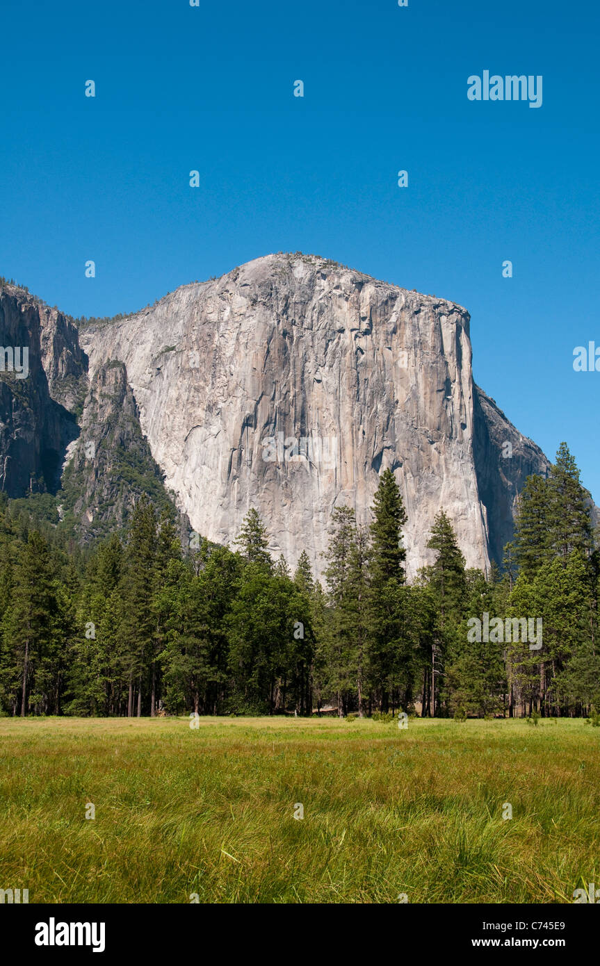 California: Yosemite Valley e El Capitan, Sierra mountain meadow e granito. Foto copyright Lee Foster california120743. Foto Stock
