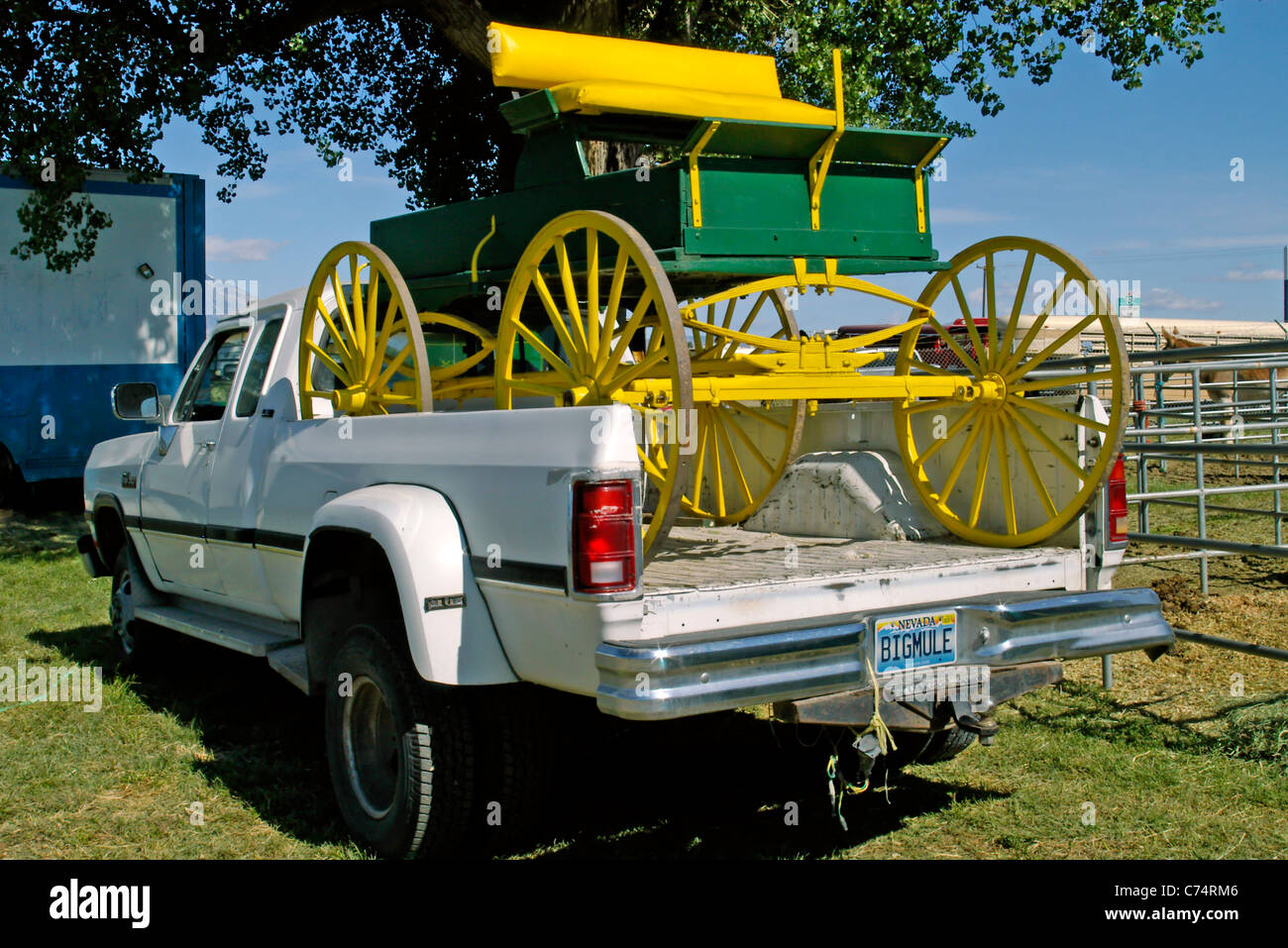Stati Uniti, California, Vescovo 37th mulo Giorni, trasportano il carro 2006 Foto Stock