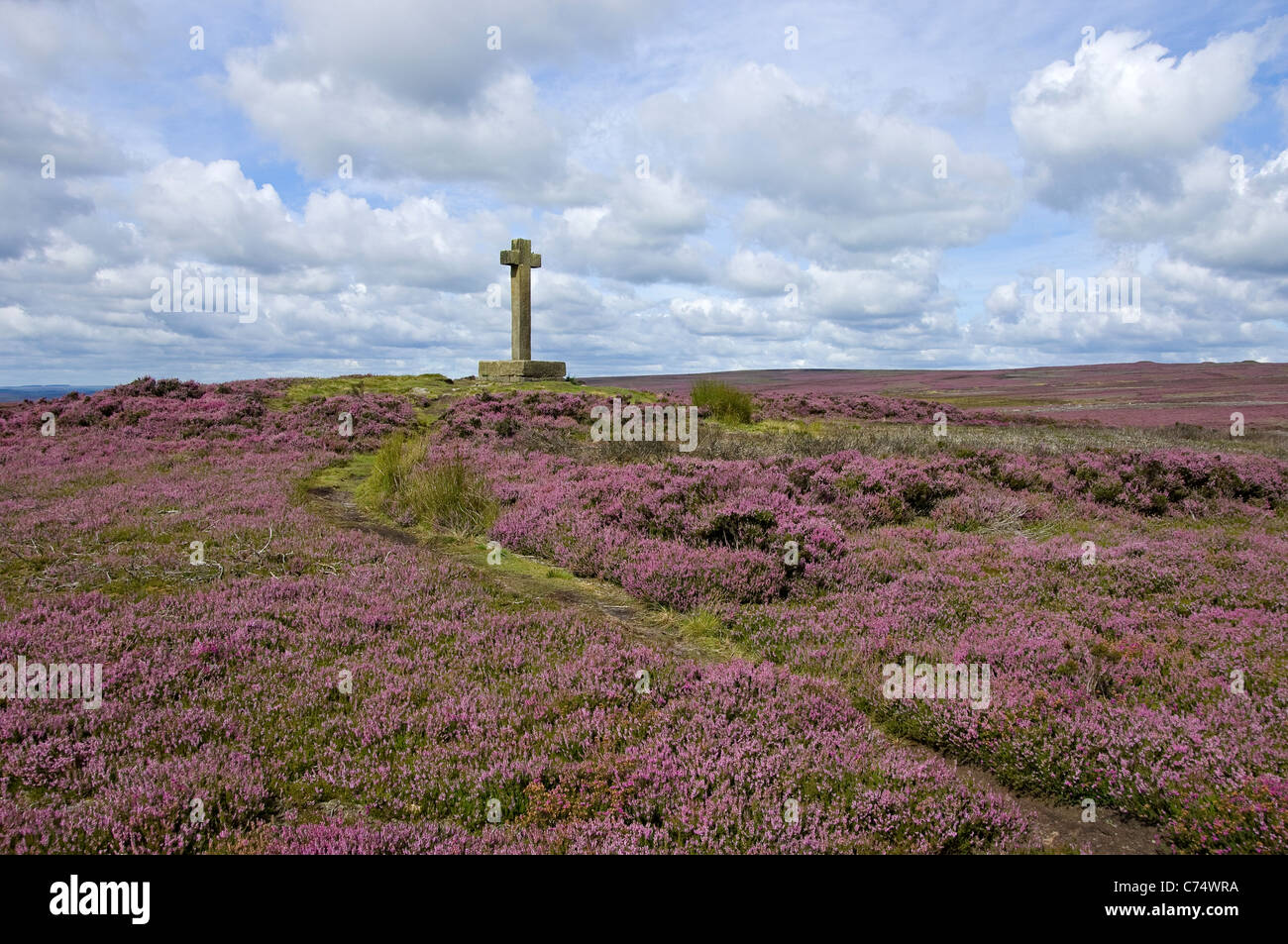 Nota anche la brughiera ricoperta di erica viola ad Ana Cross Come Ainhowe Cross in estate Spaunton Moor North Yorkshire Inghilterra Regno Unito, Gran Bretagna Foto Stock