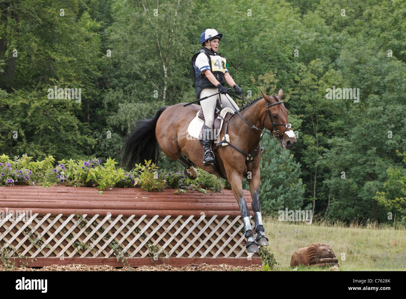 Joanna Rimmer su whiskers Finnegans - Gatcombe 2011 Foto Stock