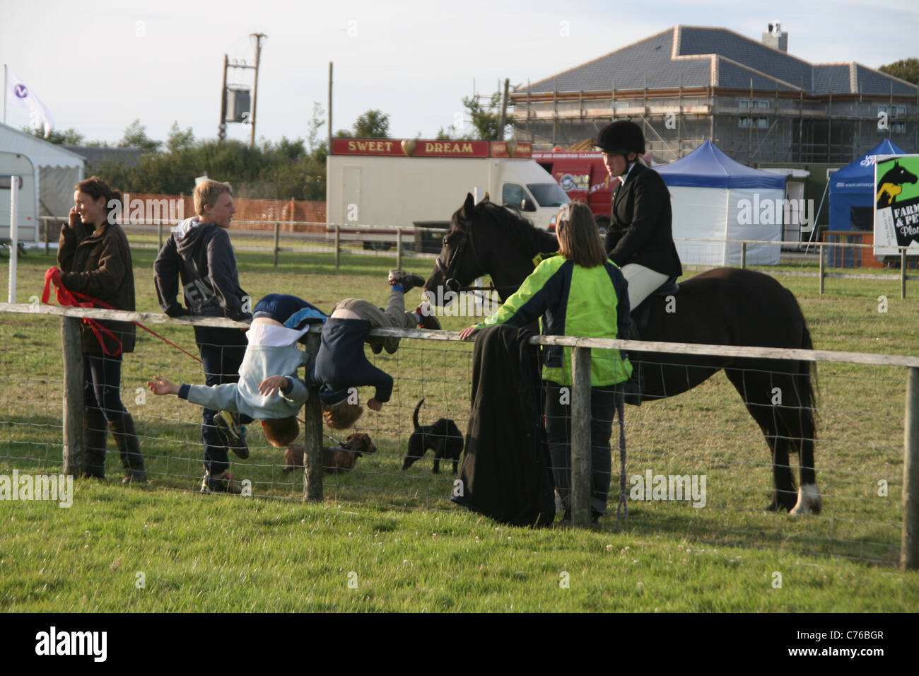 Scena di anglesey contea agricola mostra, Wales, Regno Unito 2011 Foto Stock