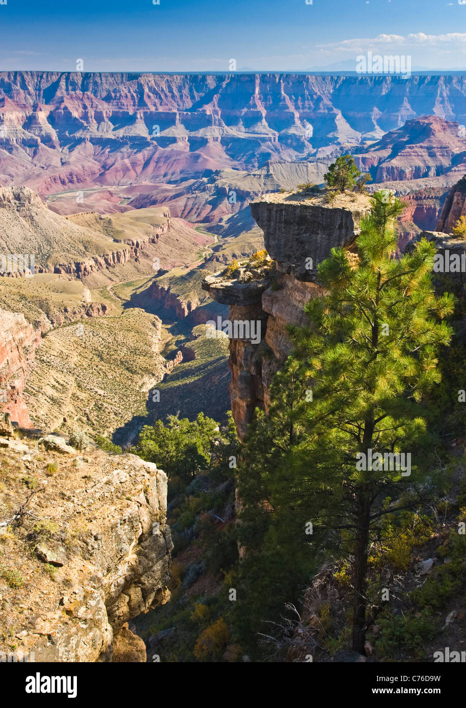 Il meraviglioso Parco Nazionale del Grand Canyon/ North Rim. Foto Stock