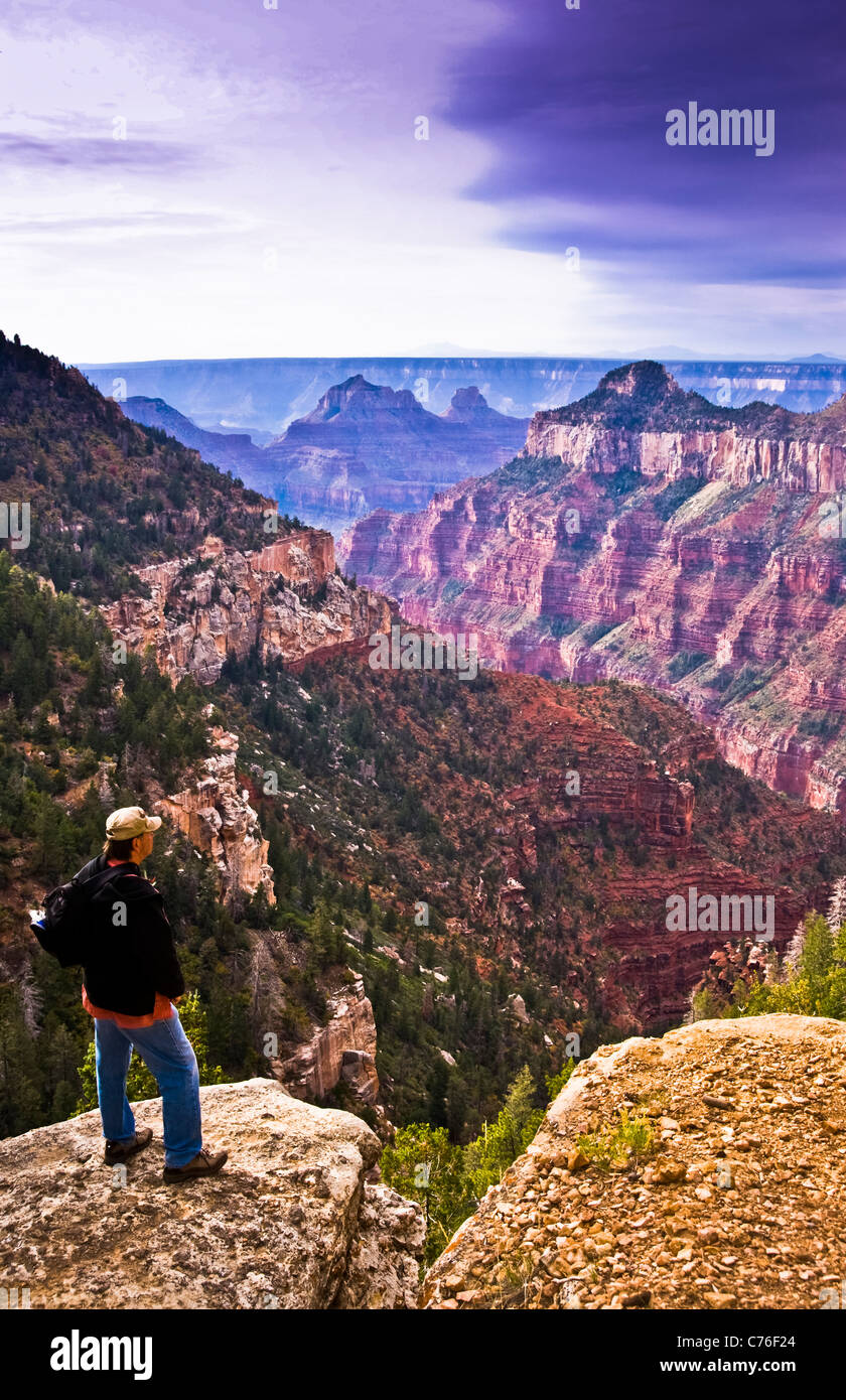 Escursionista sul sentiero Widforss a bordo Nord del Parco Nazionale del Grand Canyon, Arizona. Foto Stock