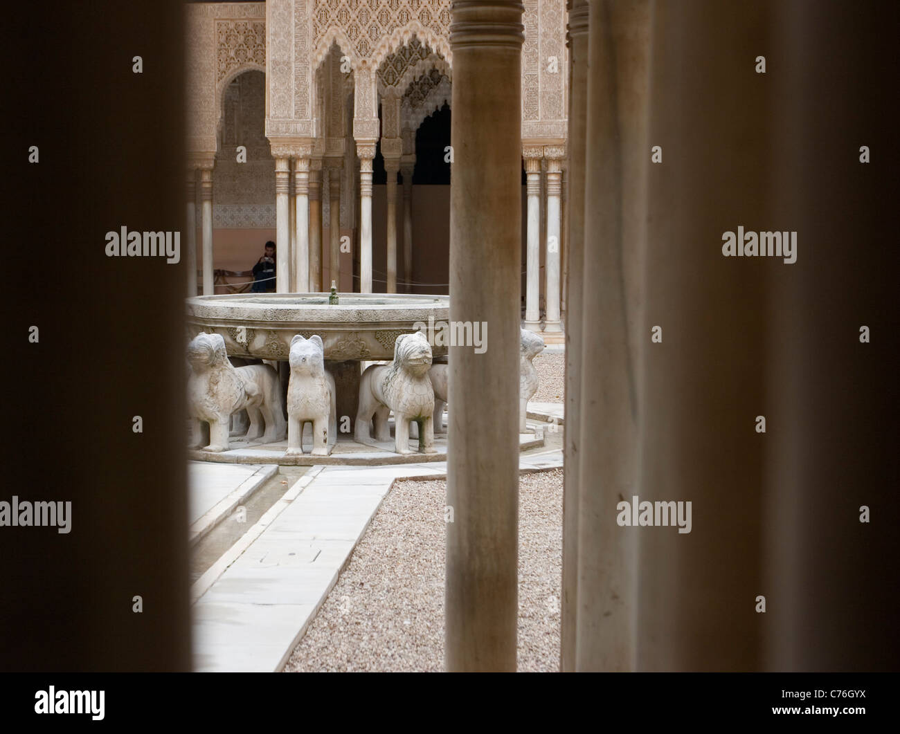 Il Patio de Los Leones (Corte dei leoni) nell'Alhambra (Granada, Spagna) Foto Stock