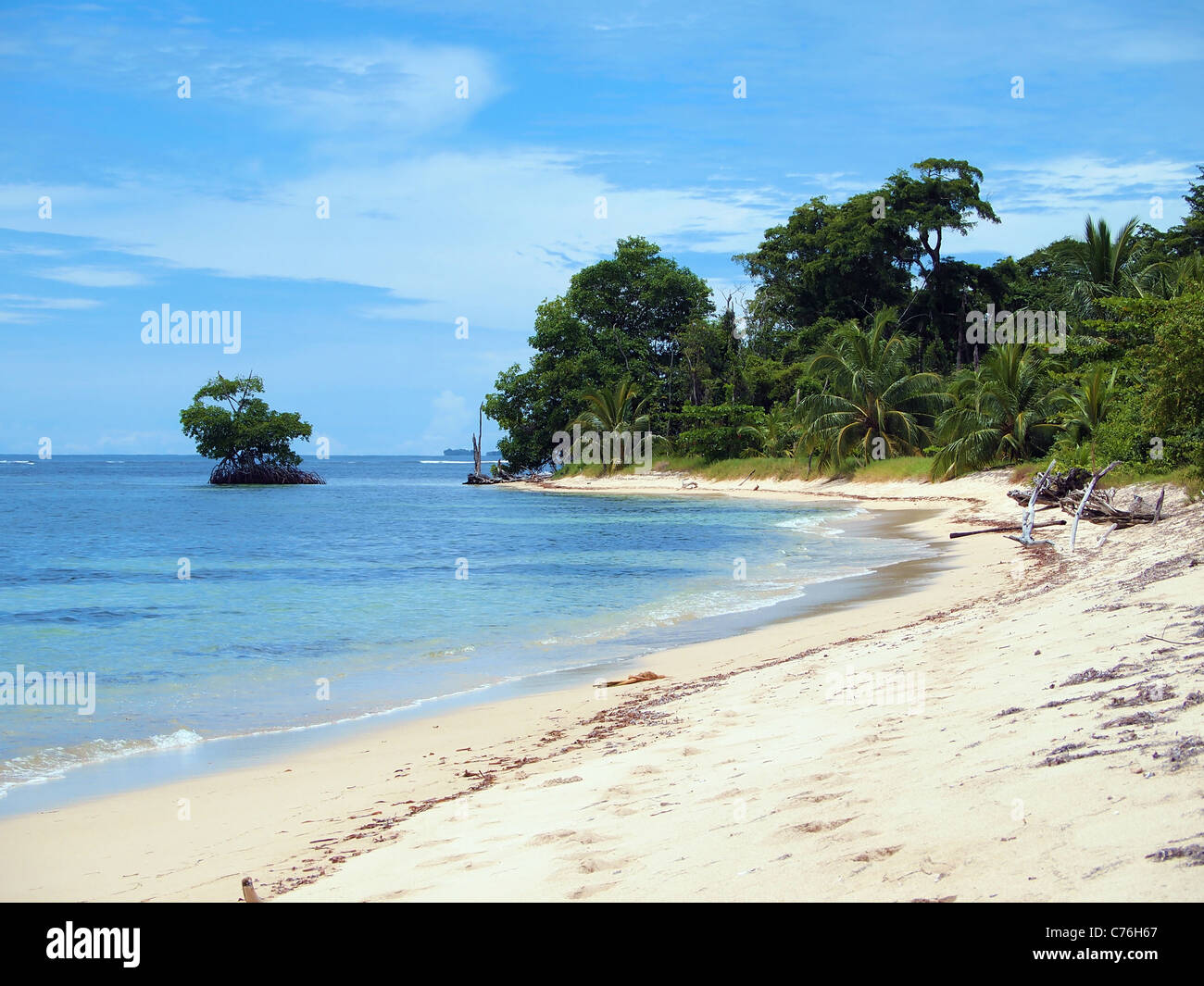 Spiaggia con la piccola isola di mangrovie in Bocas del Toro, Mar dei Caraibi, Panama Foto Stock