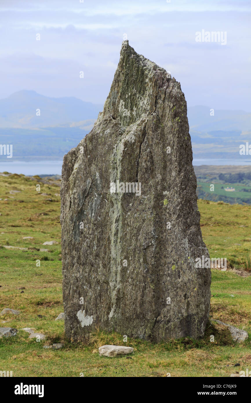 Il Cashakeelty Stone Circle & pietra allineamento, la penisola di Beara, Co Kerry, Rep di Irlanda Foto Stock