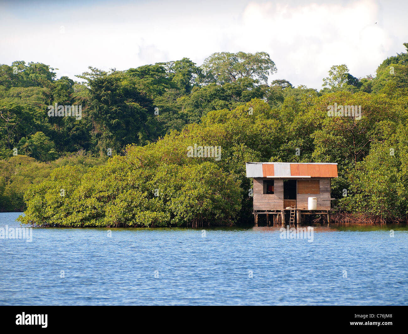 Rifugio caraibico nelle mangrovie, arcipelago di Bocas del Toro, Panama Foto Stock