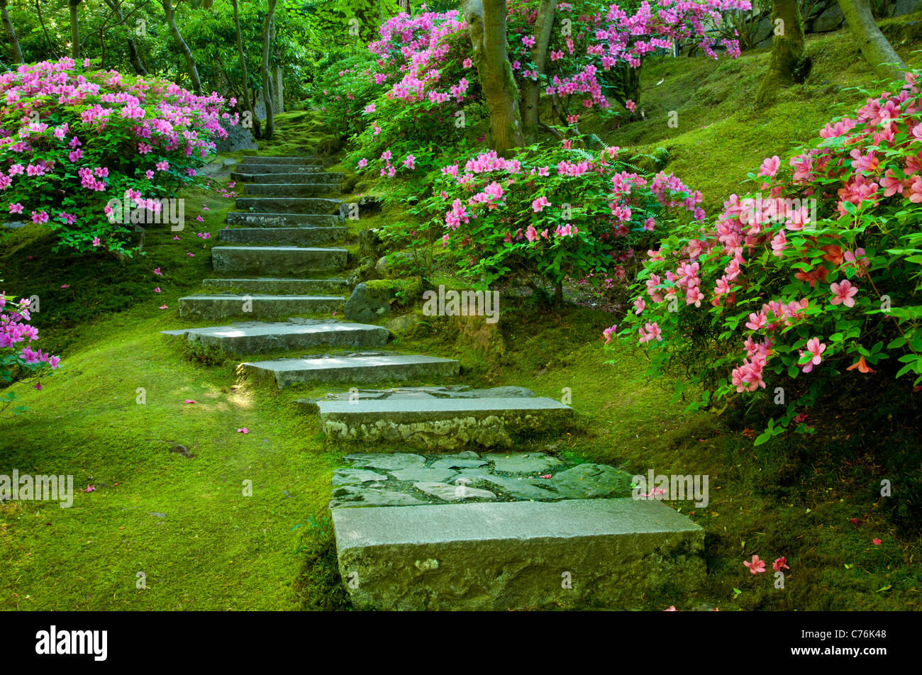 Meandri della scala attraverso il giardino giapponese in Portland Oregon USA Foto Stock